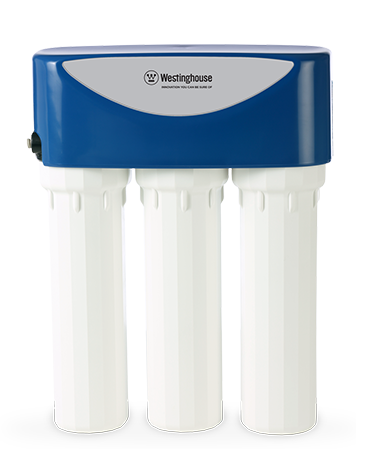 P550 Drinking Water Filtration by Westinhouse - Environmental ProTech - Houston, Tx